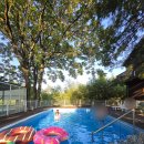 오월의정원 포레스트 이미지