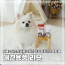 벳파이