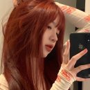 헤어브릭 이미지