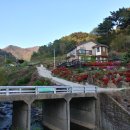 싱싱팜농장 이미지