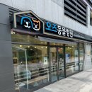 길동물병원 | 고양이 심장병 검사 비용 합리적인 수원 오즈동물병원 심장초음파 후기