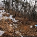 이지적산