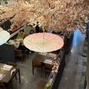 다운참치 | [분당] 참치랜드 : 분당 수내역맛집 분당 참치 제대로 즐긴 21주년 참치랜드 방문 후기