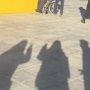 종로-연건-종로-연-475 | 일상블로그 : 1월 끝