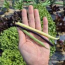 우빈농장 이미지