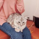 닥터정 동물병원 이미지