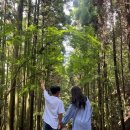 신사운전길 이미지