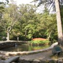 순천-46호 이미지