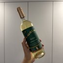 루에다 | 코스트코 만원대 화이트 와인 추천 쿠네 루에다 베르데호 2023 후기 (Cune Rueda Verdejo 2023)