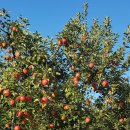 이상철농장 이미지