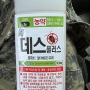 오후5시;사과밭 이미지