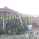 하귀하나로의원 이미지