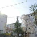 노암인터넷 이미지