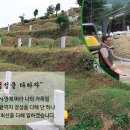 월드장묘개발