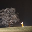 함안 말이산고분군 이미지