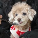 아이뱅크안경(성안점) | 엔하이픈 뮤직뱅크 음방 처음 갔다옴 + 헌혈