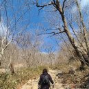 속리산 법주사 겨울산행 다녀왔어요 (등산코스, 정보, 팁)