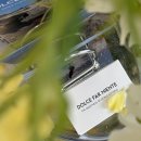 한겨례신문사 | 돌체 파 니엔테 는 무슨 공간 인가요?