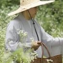 수제정원 이미지