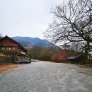 만연사 입구 주차장 이미지