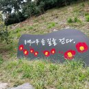 서천 마량리 동백나무숲 5월 방문 후기