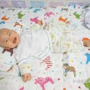 홍승애풍기인견 앞 이미지