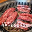 신청봉영농조합법인 | 홍천 한우 맛집 홍천한우수라영농조합법인 한우모듬 후기