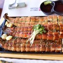 달빛장어 이미지