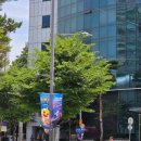 동대문 DDP, 아기상어 비밀초대장 : 비커밍샤크 주차 관람후기 :)