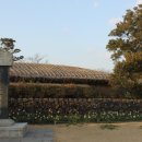 서귀포 김정희 유배지 이미지