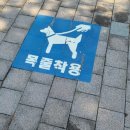 문점공원 이미지