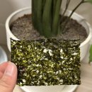 주식회사 캔 | 대천 곱창김 캔 선물세트 가성비 명절선물 지인선물