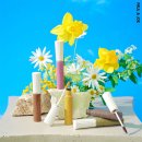 비바브로우