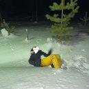 나의 삶을 책 속에 담다 | [책 추천] 양귀자 장편소설 『모순』 완독 후기 - 스물여섯, 나의 삶의 방향을 묻다