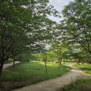 새마을로 이미지