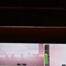 B.B.Q전곡점 | 선셋 롤러코스터 콘서트 후기 : "Q comes and Q goes" in Seoul