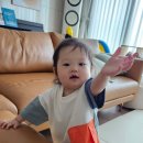 훈이플라워 이미지