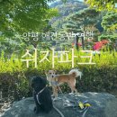 용문산 둥지 | 경기도 양평 가볼만한 곳 애견동반 단풍 구경 쉬자파크