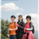 영안중학교 이미지