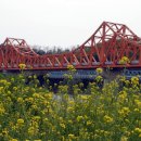 남지초등학교 이미지