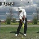 아이언 이미지