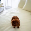 데일리미트 이미지