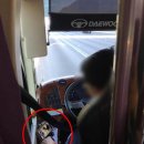 버스폰온라인 이미지