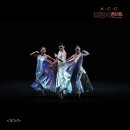 [ACC브런치콘서트] 서울발레시어터 무브즈 MOVES | [ACC 브런치콘서트] 서울발레시어터의 &lt;MOVES&gt; 국립아시아문화전당_2019.6.12(수)