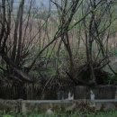 황산사과농원