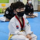 금빛발차기태권도장 이미지