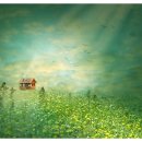 목화한의원 이미지