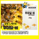 꿀벌약국 이미지