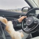 별사랑동물병원 이미지