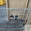 강아지 놀이터 이미지